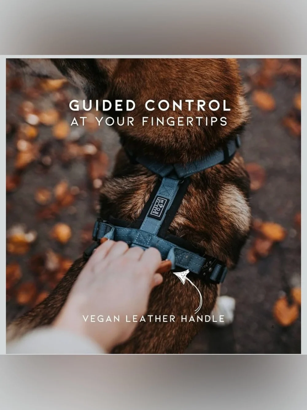 Made to Roam Padded Dog Harness